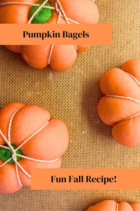 There are some orange dough pumpkins tied with twine. Pumpkin Bagel Recipe, Cute Halloween Food, Halloween Pumpkin Recipes, Types Of Bagels, Pumpkin Bagels, Fun Kid Lunch, Halloween Breakfast, Fall Fun Food, Homemade Bagels