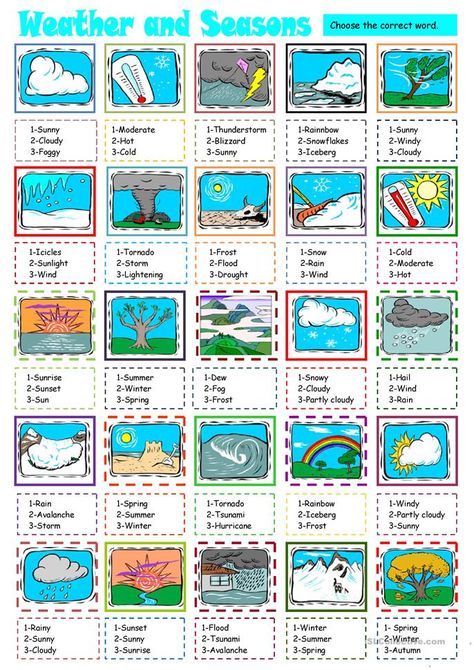 weather and seasons - English ESL Worksheets for distance learning and physical classrooms Online English Teacher, Weather Vocabulary, Esl Vocabulary, English Exercises, English Test, Grammar Book, English Vocab, Bacon Wrapped Chicken, Start A Fire