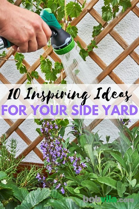 Cheap Side Yard Ideas, Outdoor Side Of House Ideas, Gardening Side Of House, Sitting Garden Ideas Side Yards, What To Plant Along Side Of House, Garden Between Houses, Front Side Garden Ideas, West Side Of House Landscaping Ideas, Sunny Side Yard Landscaping