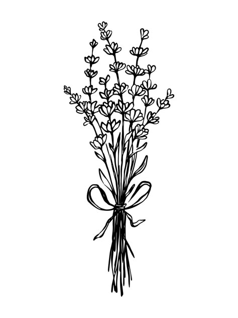 Botanical Illustration Black And White, Lavender Drawing, Bouquet Drawing, Flower Bouquet Drawing, Flower Boquet, Drawing Black And White, Lilac Bouquet, Lavender Tattoo, Bouquet Tattoo