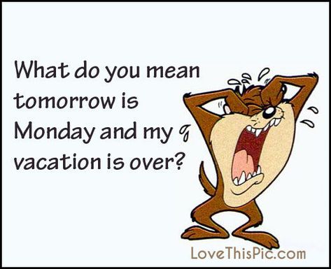 What do you mean Tomorrow Is Monday And Vacation Is Over sunday sunday quotes… Vacation Quotes Funny, Funny Sunday, Sunday Humor, New Adventure Quotes, Sunday Quotes Funny, Over It Quotes, Tomorrow Is Monday, Happy Vacation, Vacation Humor