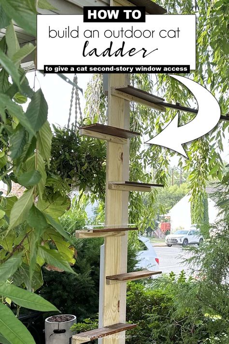 Cat Ladders Outdoor, Cat Door Ideas, Diy Stairs Outdoor, Shoe Shelf Diy, Cat Walkway, Outdoor Cat Tunnel, Catio Ideas, Wall Ladder, Cat Ladder