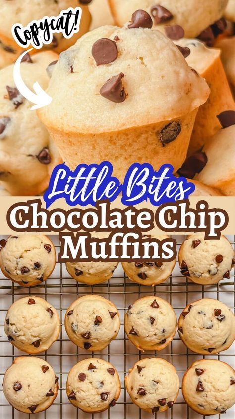 Mini Chocolate Chip Muffins (Little Bites Copycat Recipe) - Our Crow's Nest Best Chocolate Chip Muffins, Chocolate Chip Muffins Easy, Mini Chocolate Chip Muffins, Chocolate Chip Muffin Recipe, Muffins Easy, Breakfast Muffin, Muffins Breakfast, Healthy Chocolate Chip, Dessert Aux Fruits