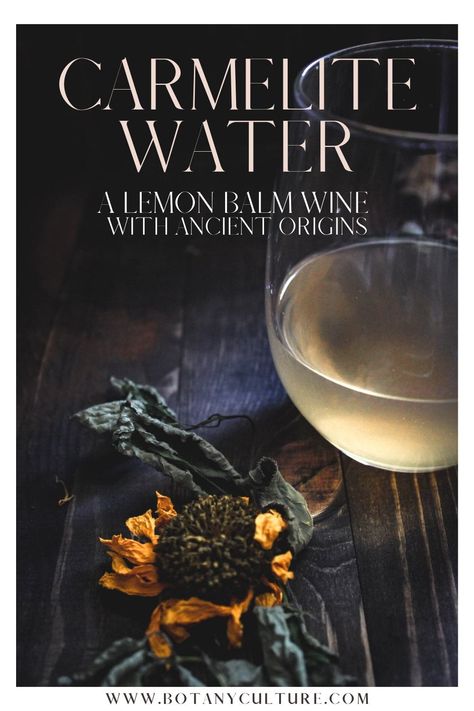 Carmelite Water (Lemon Balm Wine) - A New Take on an Old World Potion Apothecary Ideas, Tonic Syrup, Glass Of White Wine, Water Lemon, Medicinal Tea, Herbal Elixir, Mountain Rose Herbs, Nut Milk Bag, Dried Lemon