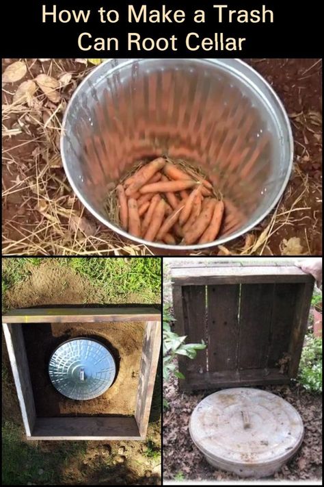 Preserve Your Garden's Bounty by Making an Inexpensive and Simple Root Cellar From a Trash Can Root Cellar Plans, Homesteading Food, Root Cellars, Cellar Ideas, Survival Garden, Homesteading Diy, Root Cellar, Plant Medicine, Garden Food