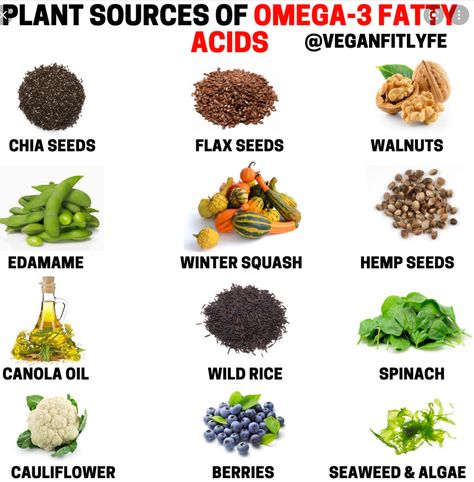 Omega 3 Sources, Function Of Heart, Fatty Acid Foods, Omega 3 Foods, Plant Diet, Heart Lungs, Omega 3 Fatty Acids, Cell Membrane, Endocrine System