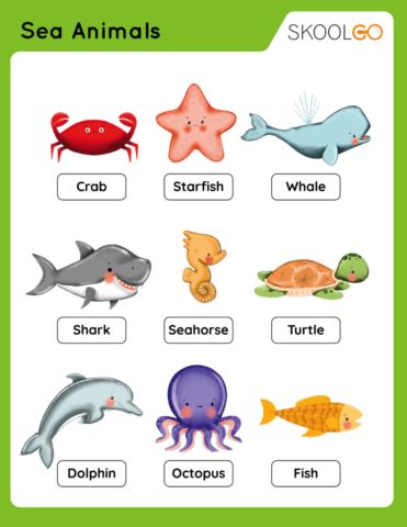 Water Animals Worksheet, Worksheet Grade 2, Animals Live In Water, Worksheets For Grade 2, Free Science Worksheets, Animals Worksheet, Animal Activities For Kids, Sea Mammal, Animal Worksheets