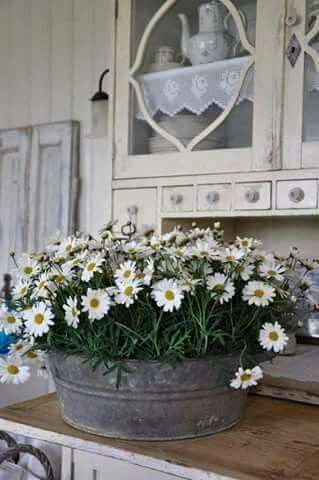 Front Porch Furniture, Deco Champetre, Country Kitchen Designs, Farmhouse Landscaping, Magical Home, Deco Nature, Porch Furniture, Country Decorating, Landscape Designs