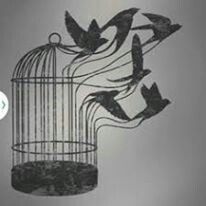 This is a tattoo I'd recommend for anybody. It's simple, yet meaningful and beautiful. Freedom Art Inspiration, Bird Cage Art, Freedom Images, Freedom Drawing, Cage Tattoos, Harry Potter Painting, Freedom Art, Meaningful Drawings, Architectural Sketch