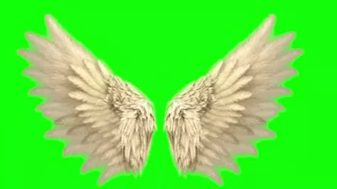 Gacha Wings Green Screen, Angel Wings Green Screen, Angel Wing Overlay, Glitter Photo Shoots, Lucifer Wings, Green Screen Images, Greenscreen Ideas, Angel Wings Png, Free Green Screen Backgrounds