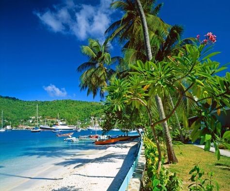 St Vincent And The Grenadines, Bequia, Saint Vincent And The Grenadines, Spice Island, Saint Vincent, Dream Places, St Vincent, Secluded Beach, Island Hopping