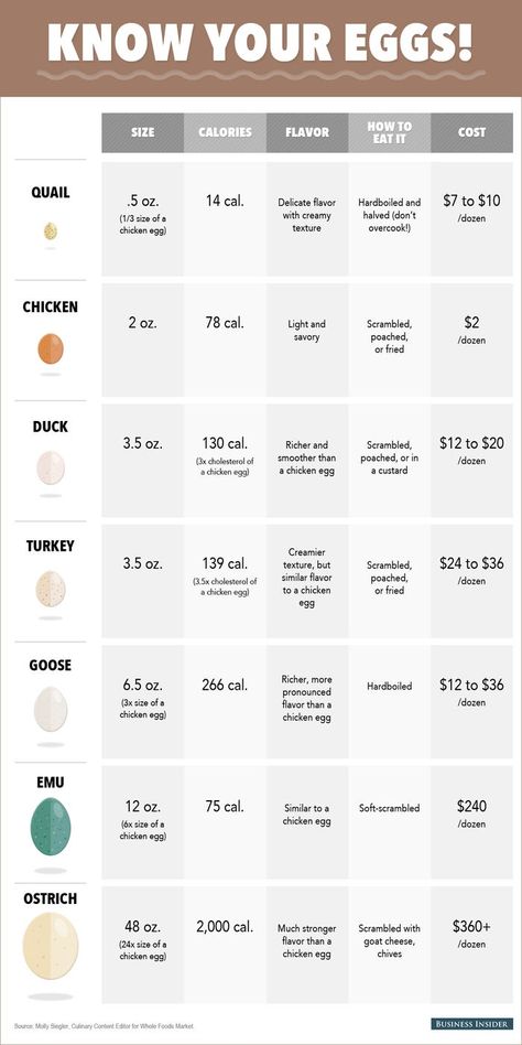 Egg Chart, Como Plantar Pitaya, Backyard Ducks, Raising Quail, Types Of Eggs, Raising Farm Animals, Chicken Coop Plans, Backyard Chicken Coops, Mini Farm