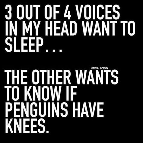 Insomnia Quotes Funny, Insomnia Funny, Insomnia Quotes, Twisted Quotes, Sick Humor, Haha So True, Sleep Funny, Savage Quotes, Sarcastic Quotes Funny