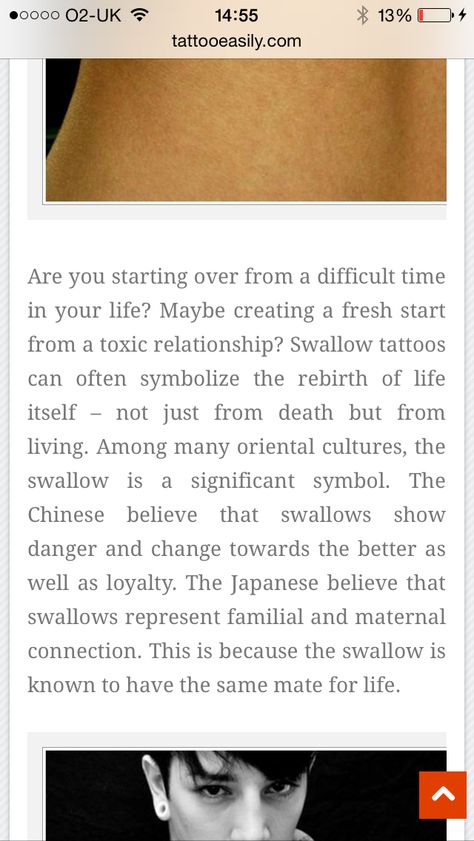 Meaning of a swallow tattoo Swallow Meaning, Swallow Bird Tattoo Meaning, Swallow Tattoo Meaning, Tattoo Swallow, Swallow Bird Tattoos, Bird Tattoo Meaning, Spiritual Care, Swallow Tattoo, Swallow Bird