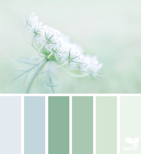 color nature Design Seed, Seeds Color, Bedroom Color Schemes, Design Seeds, Bedroom Green, Green Design, Bedroom Colors, Colour Schemes, Nature Design