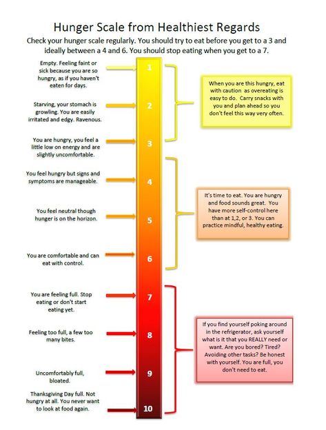 Hunger-Scale Hunger Scale, Feeling Faint, Stomach Growling, Feeling Bloated, Natures Sunshine, Stop Overeating, Feeling Hungry, Fitness Challenge, Intuitive Eating