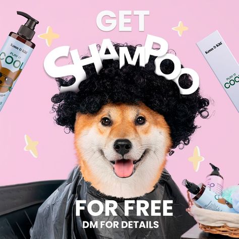 Dog Shampoo For Itchy Skin, Dog Marketing, Puppy Shampoo, Dog Soap, Dog Conditioner, Pet Shampoo, Deodorizing, Dog Skin, Dog Shampoo