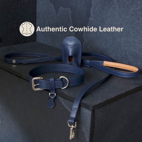 Collar Ideas, Dog Collar And Leash, Blue Dog Collar, Diy Leather Projects, Bag Dispenser, Leather Dog Collar, Blue Dog, Dog Walker, Leather Projects