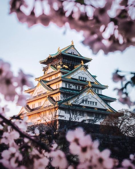 Osaka Castle, Japan : castles Asia Culture, Castle Drawing, Japan Spring, Japan Picture, Golden Buddha, Love Abundance, Japanese Castle, Ancient Japan, Shinto Shrine