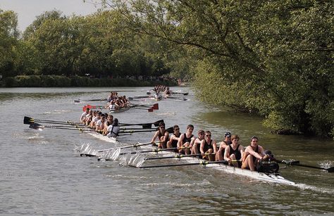 The Bumps rowing races in Oxford are sometimes literally that, the aim being to bump the boat in front without being bumped by the boat behind. Eccentric Oxford by Ben le Vay www.bradtguides.com Oxford Rowing, Henley Royal Regatta, Gym Equipment Workout, Rowing Crew, Division 2, American Games, Pan American, Boat Race, Row House