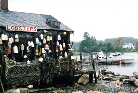 Bait & tackle shop, Maine Fish Shop Aesthetic, Bait Shop Aesthetic, Fishing Village Aesthetic, Bait And Tackle Shop, Miniature Fishing Shack, Nautical Bottle, Vintage Bait Shop Signs, Deschutes River, Bait Shop