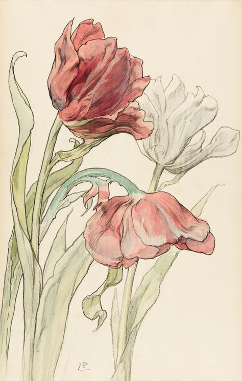 Fleurs Art Nouveau, Tulip Drawing, Illustration Art Nouveau, Art Nouveau Illustration, Art Nouveau Flowers, Tulips Art, Folk Art Flowers, Illustration Botanique, Plant Illustration