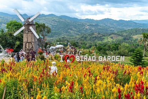 Sirao Garden Cebu, What To Do In Amsterdam, Places In Amsterdam, Amsterdam Holiday, Amsterdam Bucket List, Travel Amsterdam, Cebu City, Netherlands Travel, Travel App