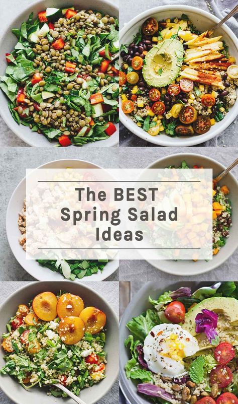 Crunchy, fresh, cold, and delicious. These 5 Favorite Spring Salad Ideas are perfect for easy lunches and dinners that the whole family will love! #salads #springrecipes #healthysalads Spring Salad Ideas, Easy Ethnic Recipes, Healthy Spring Recipes, Spring Lunch, Spring Salad Recipes, Spring Meals, Spring Dinner, Healthy Summer Recipes, Spring Salad