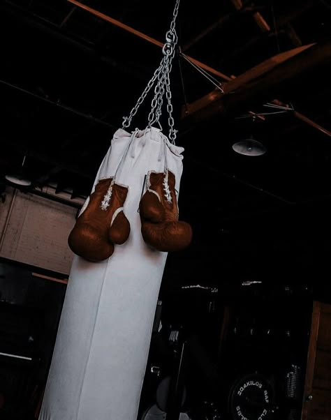 Boxer Aesthetic, Devney Perry, Boxe Thai, Boxing Posters, Boxing Bags, Vampire Academy, Punching Bag, Sports Wallpapers, Boxing Workout