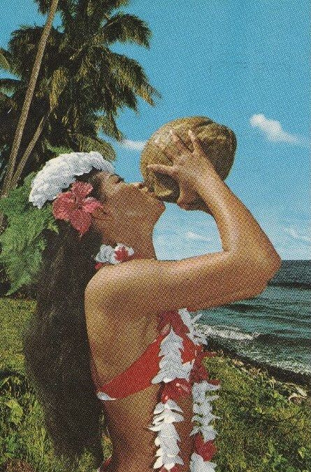 Tiki Ideas, Postal Card, Hawaiian Woman, Polynesian Dress, Military Poster, Hawaii Vintage, Coconut Dream, Vintage Vacation, Polynesian Art