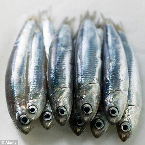 anchovies Italian Chef, Slow Food, Anchovies, Bing Images, The End, Pizza, Fish, Pizzas