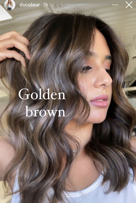 Sunkissed Hair, Rambut Brunette, Brown Hair Looks, Brown Hair Inspo, Brunette Hair With Highlights, Dark Hair With Highlights, Brunette Balayage Hair, Brown Hair Balayage, Balayage Brunette