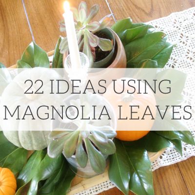 Magnolia Leaves Table Decor, Dried Magnolia Leaves Decor, Wedding Decor With Magnolia Leaves, Decorate With Magnolia Leaves, Magnolia Leaves In Floral Arrangements, Flower Arrangements With Magnolia Leaves, Magnolia Seed Pod Crafts, Magnolia Leaf Decor, Magnolia Leaves Wreath