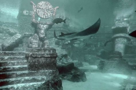 Atlantis Aesthetic, Siren Aesthetic, Siren Core, H2o Mermaids, Mermaid Cove, Siren Mermaid, Mako Mermaids, Mermaid Vibes, Mermaid Siren