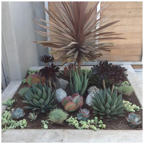 Succulent flower bed maybe with some big blooming flowers. gorgeous Succulent Flower Bed, Succulent Garden Landscape, Water Wise Landscaping, Succulent Landscape Design, Succulent Garden Design, Succulent Gardens, Succulent Landscaping, Rock Garden Design, Rock Garden Landscaping