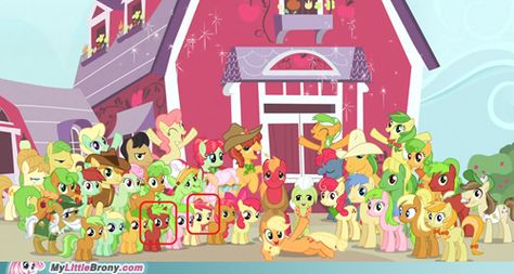 Unicorns in the Apple Family Apple Jack Mlp, Mlp Princess Cadence, Sweet Apple Acres, Applejack Mlp, Big Macintosh, Pear Butter, Princess Cadence, Apple Jack, Mlp Equestria Girls