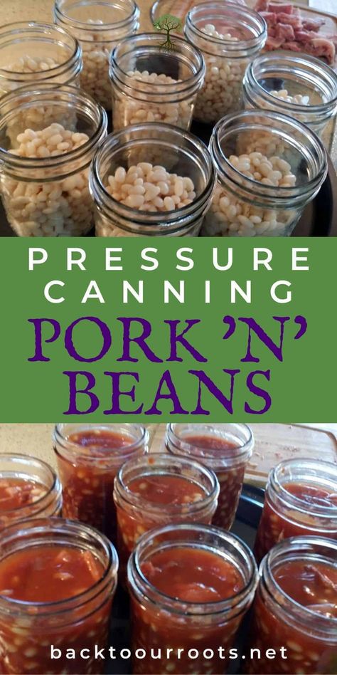 Pork And Beans Recipe, Meal Starters, Canning Beans, Canned Baked Beans, Pressure Canning Recipes, Home Canning Recipes, Canning Vegetables, Canning Food Preservation, Canning Tips