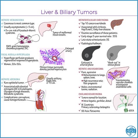 Liver Nursing, Clinical Pathology, General Medicine, Sonography Student, Medical Sonography, Nurse Teaching, Diagnostic Medical Sonography, Nursing School Essential, Airway Management