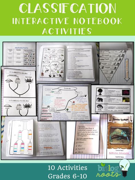 Biology Interactive Notebook, Cell Transport, Interactive Notebook Activities, Natural Selection, Interactive Notebook, Photosynthesis, Anatomy And Physiology, Interactive Notebooks, Study Guide