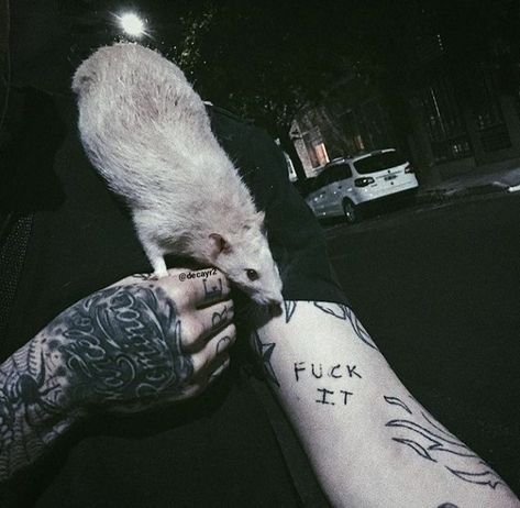 Rat Aesthetic, Rat King, Witches Familiar, Cute Rats, White Trash, Pet Rats, The Villain, Grunge Aesthetic, Dark Aesthetic