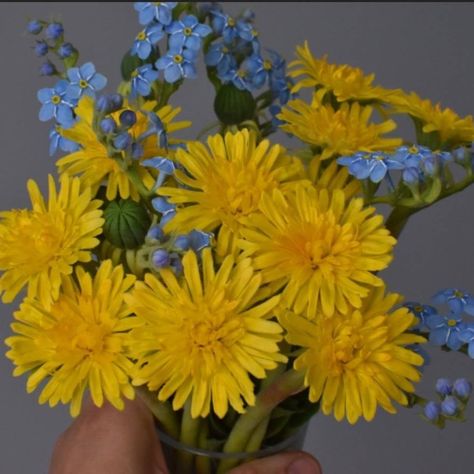 "Bouquet with forget-me-nots and dandelions." Dandelion Flower Bouquet, Dandelion Wedding Bouquet, Forget Me Not Bouquet, Dandelion Bouquet, Polymer Flowers, Dandelion Yellow, Strawberry Flower, Enchanted Forest Wedding, Flowers Bouquet Gift