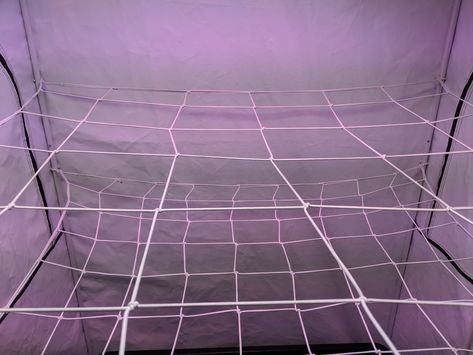 Why I love to use a grow tent scrog net Scrog Net, Flower Support, Grow Tent, Tile Floor, Tent, I Love