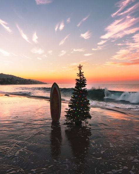 Beach Christmas Pictures, Winter In Florida, Christmas Palm Tree, California Christmas, Aussie Christmas, Florida Christmas, Beachy Christmas, Best Campgrounds, Summer Christmas