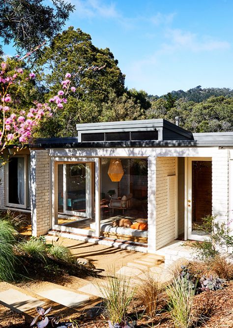 A Tropical Family Retreat In The Northern Rivers Windenburg House, Pop And Scott, Vintage Leather Chairs, Timber Home, Build House, Indian Doors, Midcentury Home, Weekend House, Top Architects