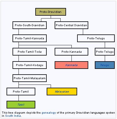 Dravidian languages Language Tree, Dravidian Languages, Language Map, Tree Diagram, Language Families, Verb Forms, China Culture, European Languages, Sense Of Life