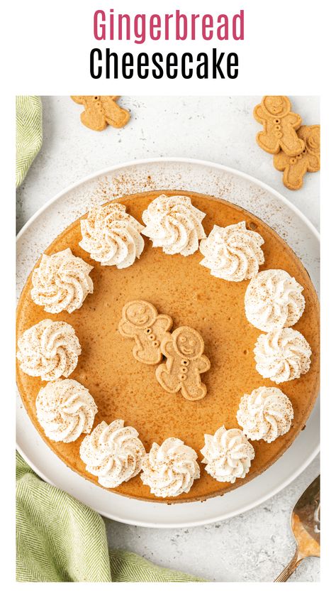 This gingerbread cheesecake has a buttery gingersnap cookie crust and a creamy spiced cheesecake filling. This is the perfect make ahead dessert for the holiday season! Gingersnap Cheesecake, Spiced Cheesecake, Spice Cheesecake, Gingerbread Cheesecake, Cheesecake Crust, Gingersnap Crust, 2024 Recipes, Make Ahead Desserts, Baking Stuff