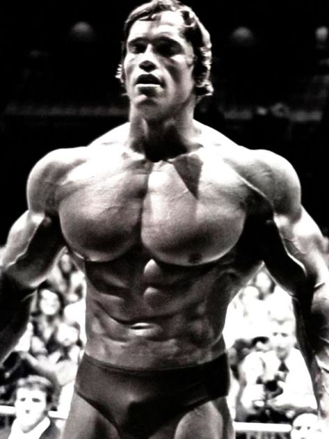 Arnold Schwarzenegger Poster, Black And White, Home Gym Decor, Vintage Movie Poster, Motivational Poster, Bodybuilding, Hustle Poster, Gifts Arnold Schwarzenegger, Muscles, Bodybuilding