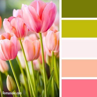 colour pallette Tulip Colors, Color Pantone, Design Seeds, Color Balance, Creative Colour, Color Grouping, Color Blending, Color Textures, Colour Schemes