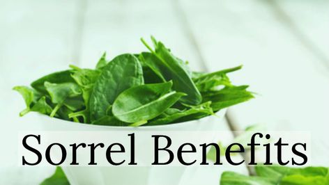 benefits of sorrel