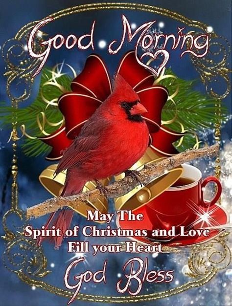 50 Christmas & Winter Good Morning Quotes Christmas Goodmorning, Christmas Morning Quotes, Christmas Qoutes, Christmas Greetings Quotes, Christmas Greetings Messages, Morning Sister, Good Morning Christmas, Morning Christmas, Christmas Scripture